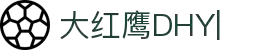 大红鹰dhy(中国)有限公司官网